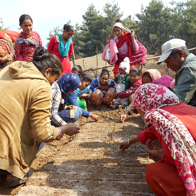 NPCS-nepal-square-j